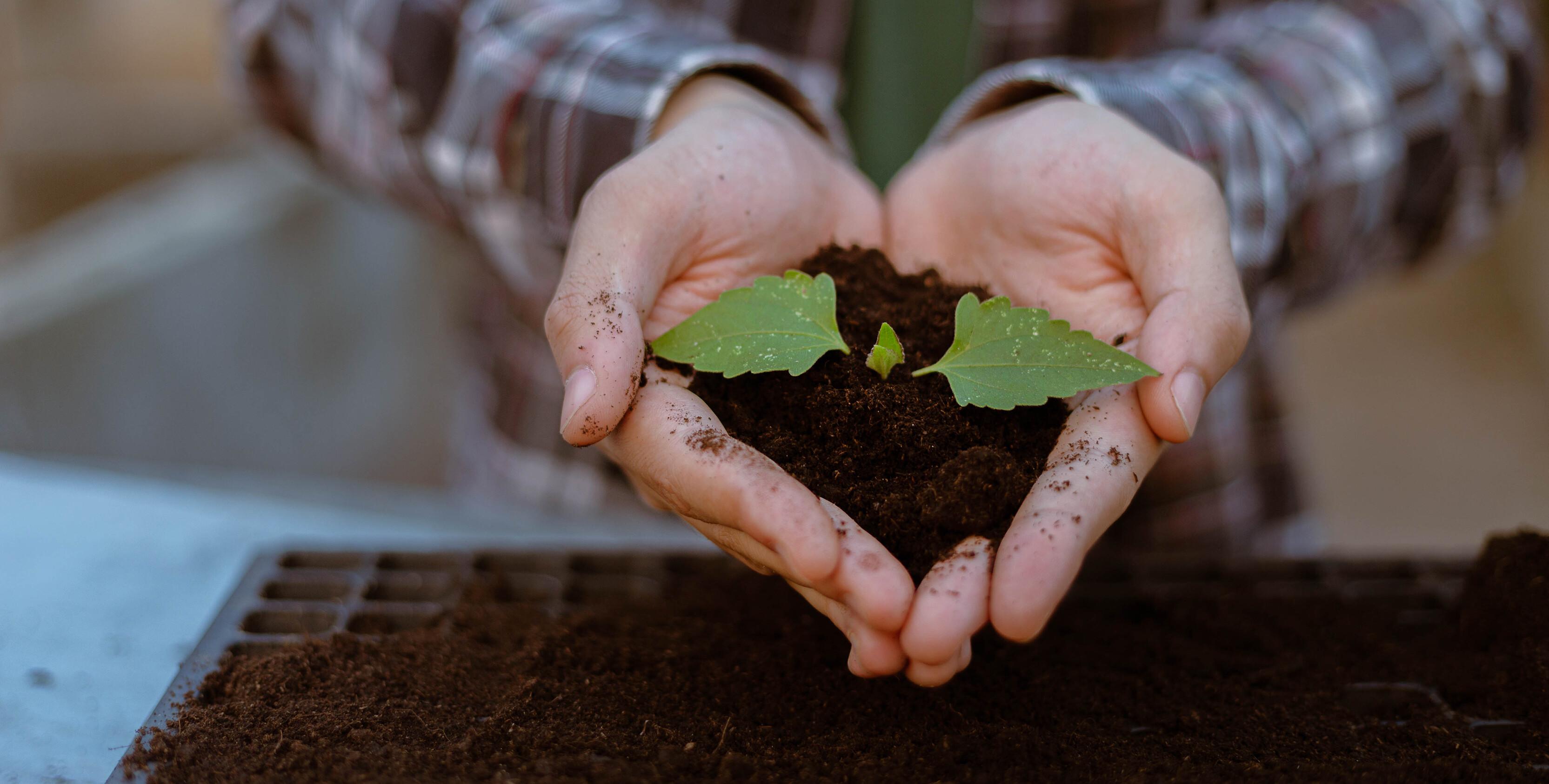 Čím sa BIO potraviny odlišujú od bežných potravín?