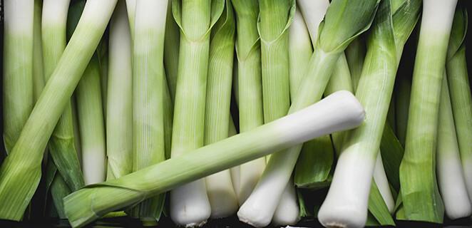 Pór a jeho liečivá sila