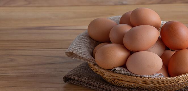 Zdravie pod škrupinkou