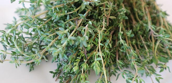 Tymián a jeho využitie (nielen) v kuchyni